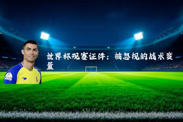 世界杯观赛证件：被忽视的战术变量